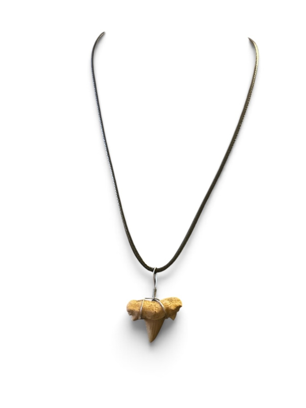 Shark Tooth Pendant Necklace